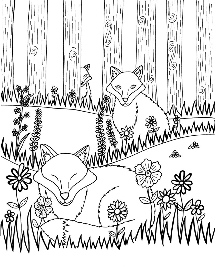 Caroline Whelan – Hireillo | Hire an Illustrator