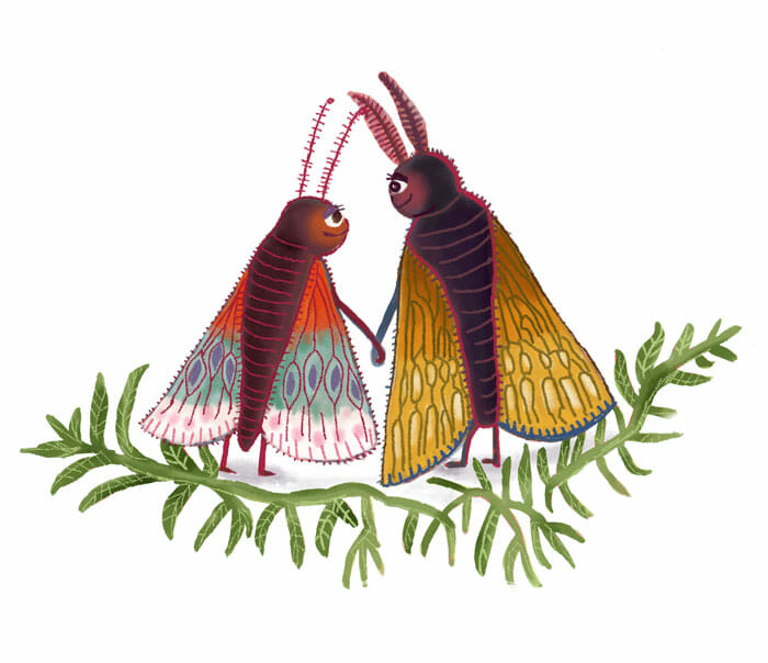 Emily Moth Emily Honey – Hireillo | Hire an Illustrator