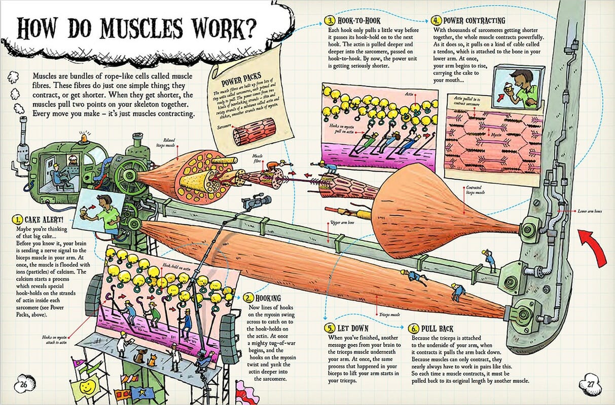 Educational – Hireillo | Hire an Illustrator