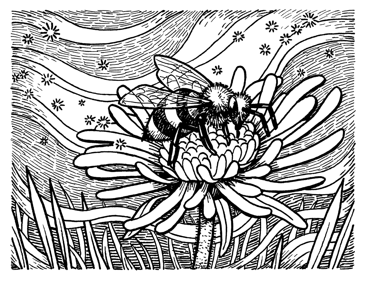 elisabeth-alba-hireillo-hire-an-illustrator