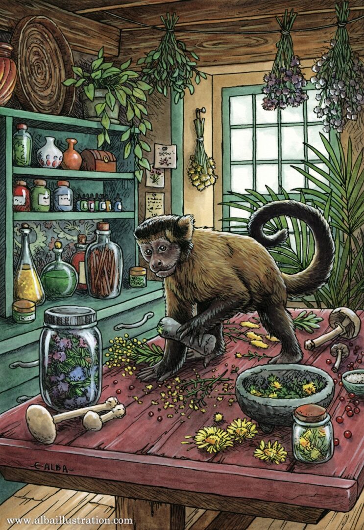 Rustic Monkeys The Monkey – Hireillo | Hire an Illustrator