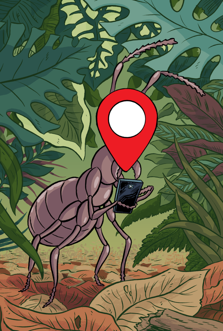 Radiotimes Naturebang Insta